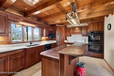 If you've been looking for usable acreage, a luxury log cabin, a - photo 36