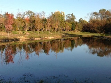 Discover the perfect setting for your custom home on this - photo 8