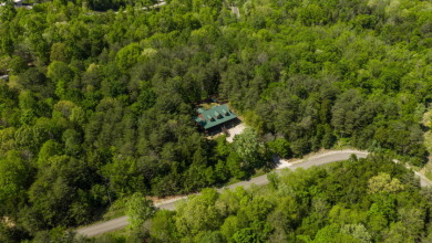 Rustic Log Home In Poplar Ridge That Will Sleep A Crowd - photo 13