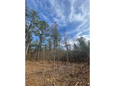 Broken Bow Lake Lot For Sale in Broken Bow Oklahoma