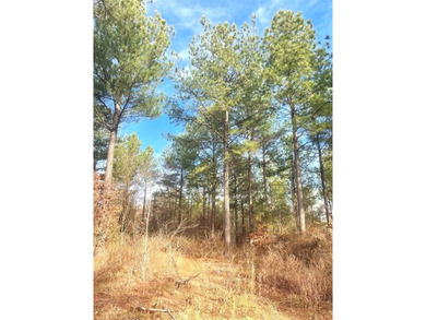 Broken Bow Lake Lot For Sale in Broken Bow Oklahoma