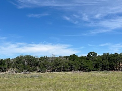 (private lake, pond, creek) Acreage For Sale in Blanco Texas