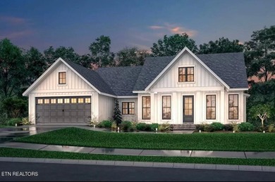Lake Home For Sale in Rockwood, Tennessee