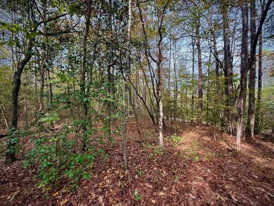Looking for the right mix of space, convenience, and outdoor - photo 4