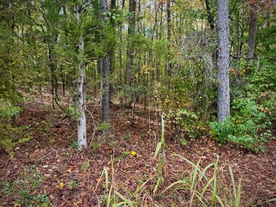 Looking for the right mix of space, convenience, and outdoor - photo 6