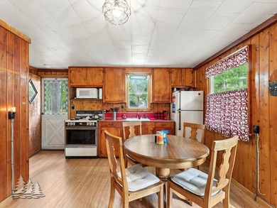 Tucked along 50 feet of coveted West Twin Lake frontage, this - photo 28