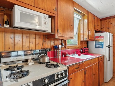 Tucked along 50 feet of coveted West Twin Lake frontage, this - photo 29