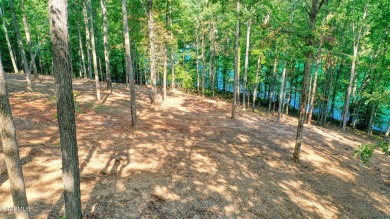 Norris Lake Lot Sale Pending in Lafollette Tennessee