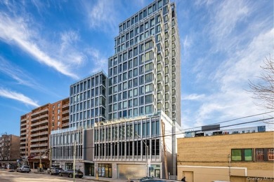 Premier ground-floor commercial retail condo opportunity located - photo 1