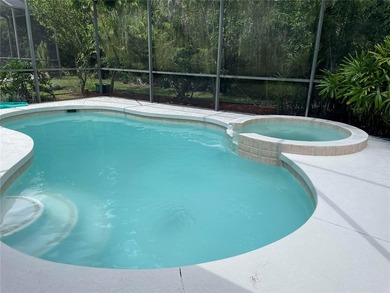 Discover this stunning home located in the heart of Osprey, FL - photo 46