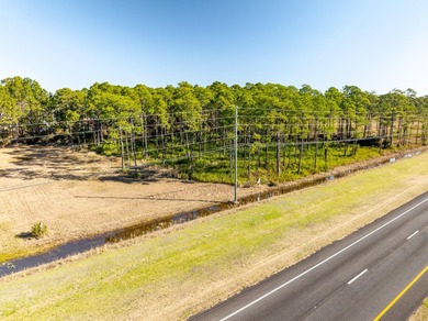 NEW LISTING of Prime Commercial Vacant Land in Santa Rosa Beach - photo 3