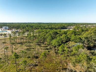 NEW LISTING of Prime Commercial Vacant Land in Santa Rosa Beach - photo 7
