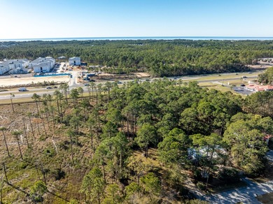 NEW LISTING of Prime Commercial Vacant Land in Santa Rosa Beach - photo 8