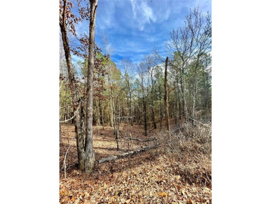 Broken Bow Lake Lot For Sale in Broken Bow Oklahoma