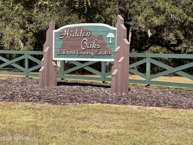 Nicotoon Lake Acreage For Sale in Umatilla Florida