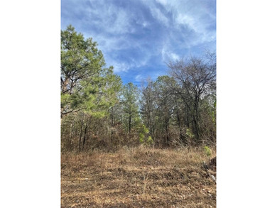 Broken Bow Lake Lot For Sale in Broken Bow Oklahoma