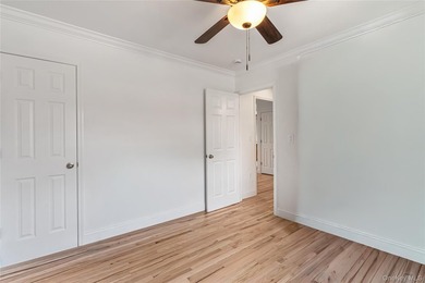 Experience refined living in this fully renovated, 5-room lower - photo 12