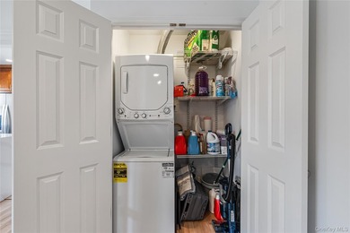 Experience refined living in this fully renovated, 5-room lower - photo 14