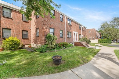 Experience refined living in this fully renovated, 5-room lower - photo 15