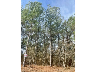 Broken Bow Lake Lot For Sale in Broken Bow Oklahoma