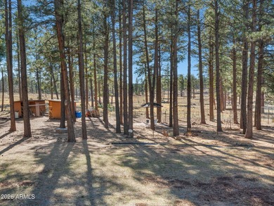 Escape the hustle and bustle and discover true mountain living - photo 27