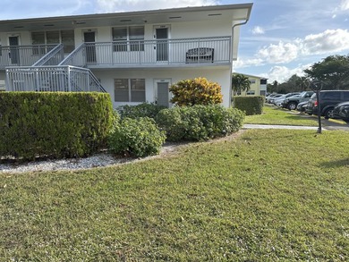 Spectacular & Move-in Ready First floor corner unit in 55+ - photo 29