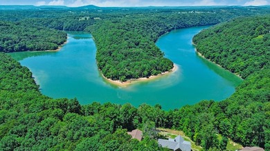 This gorgeous lake cottage has an awesome view of Dale Hollow - photo 12