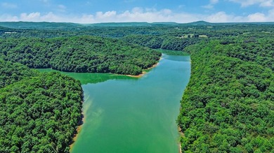 This gorgeous lake cottage has an awesome view of Dale Hollow - photo 14