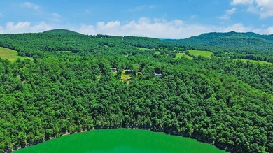 This gorgeous lake cottage has an awesome view of Dale Hollow - photo 15