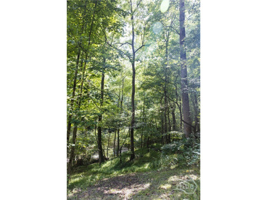 Rare historic property on Rose Creek in Oconee County, GA For - photo 42