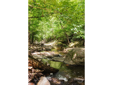 Rare historic property on Rose Creek in Oconee County, GA For - photo 44