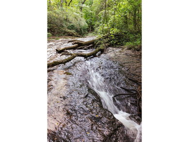 Rare historic property on Rose Creek in Oconee County, GA For - photo 46