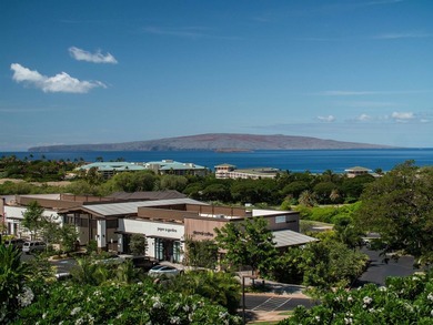 Whether you're seeking a high-performing vacation rental, a - photo 50
