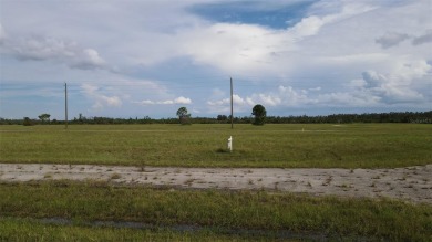 Rotunda Meadows Lakes  Lot For Sale in Placida Florida