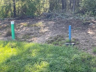 Lake Marion - Polk County Lot For Sale in Kissimmee Florida