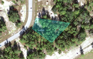 Build your dream home on this well-positioned residential lot in - photo 2