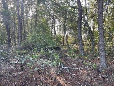 Build your dream home on this well-positioned residential lot in - photo 4