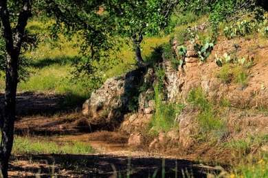 (private lake, pond, coastal) Acreage For Sale in Llano Texas