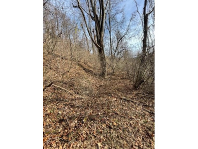 (private lake, pond, creek) Acreage For Sale in Fancy Gap Virginia