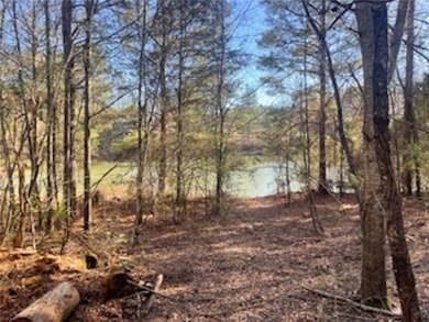 Over 7 1/2 acres of unrestricted land featuring a pond and - photo 2