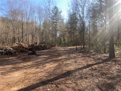 Over 7 1/2 acres of unrestricted land featuring a pond and - photo 3