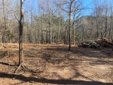 Over 7 1/2 acres of unrestricted land featuring a pond and - photo 4