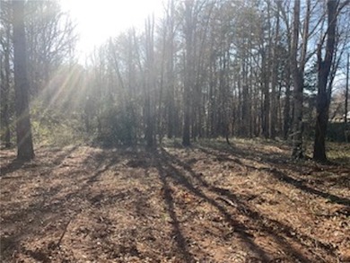 Over 7 1/2 acres of unrestricted land featuring a pond and - photo 5