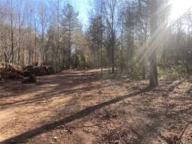 Over 7 1/2 acres of unrestricted land featuring a pond and - photo 6