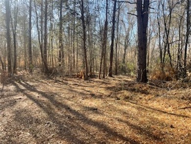 Over 7 1/2 acres of unrestricted land featuring a pond and - photo 7