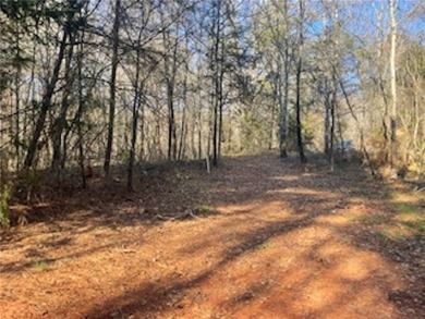 Over 7 1/2 acres of unrestricted land featuring a pond and - photo 8