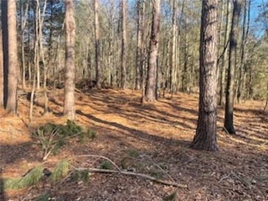 Over 7 1/2 acres of unrestricted land featuring a pond and - photo 9