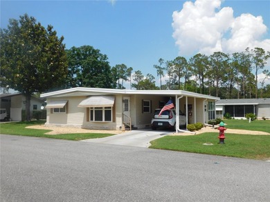 Lake Harris Home For Sale in Leesburg Florida