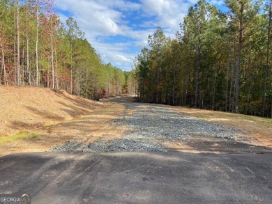 Lake Acreage For Sale in Dallas, Georgia