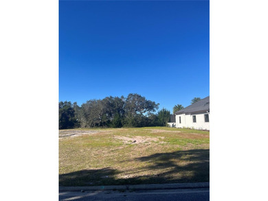 BEAUTIFUL GOLF COURSE LOCATION, NEW HOMES BEING BUILT, FAIRWAY - photo 3